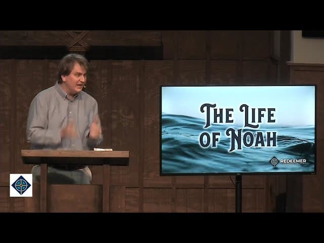 Noah's Epilogue