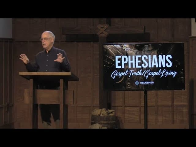 Redeemed How I love to Proclaim It